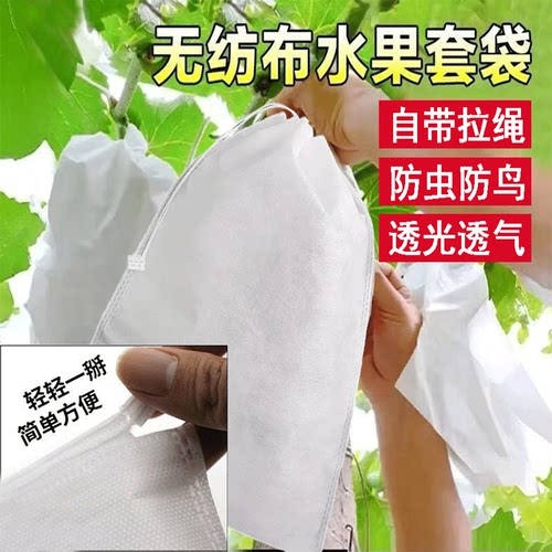 防虫防鸟无纺布拉绳套袋