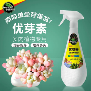 卡纳玛朵 多肉爆芽促芽分化防徒长控型多肉植物通用优芽素矮胖素