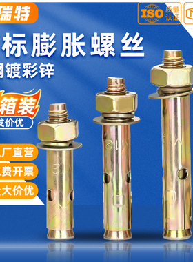 整箱国标彩锌膨胀螺丝小头拉爆带孔膨胀爆炸螺丝镀锌膨胀丝m6-m20