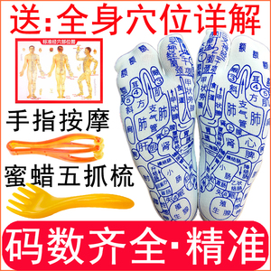足底养生穴位人体经络按摩涌泉穴图解男女情侣足疗通用脚底袜子