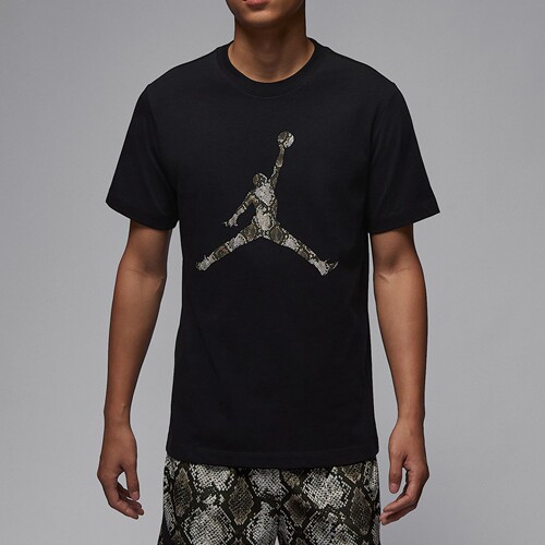 耐克乔丹Jordan SportDri-FIT 男子速干T恤HJ2863