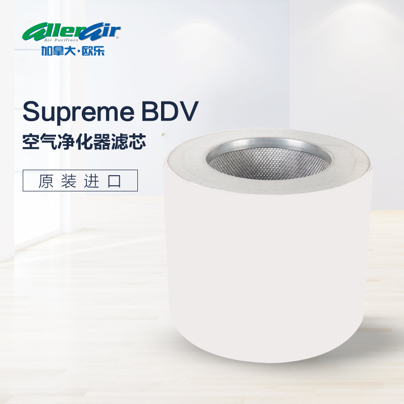 allerair家用滤芯甲醛空气净化器