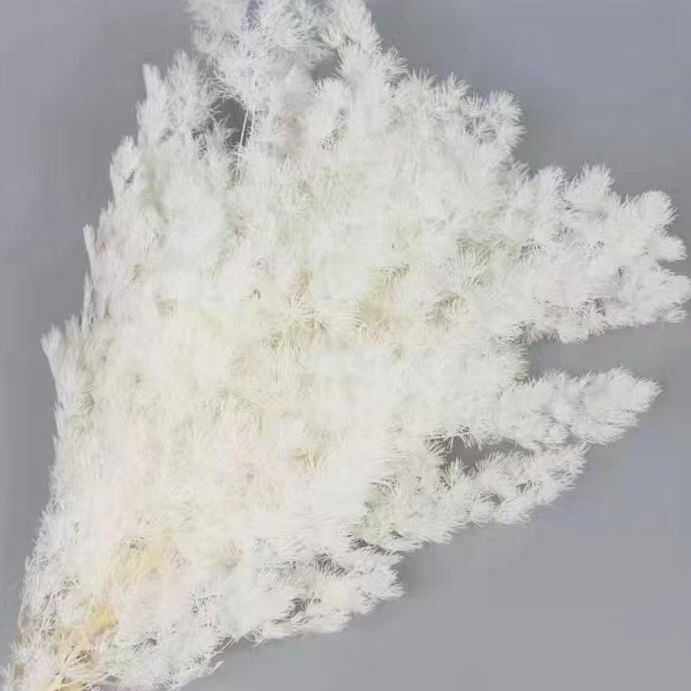 永生蓬莱松【花店婚庆手工花材】厂家直销昆明直发【1把都包邮