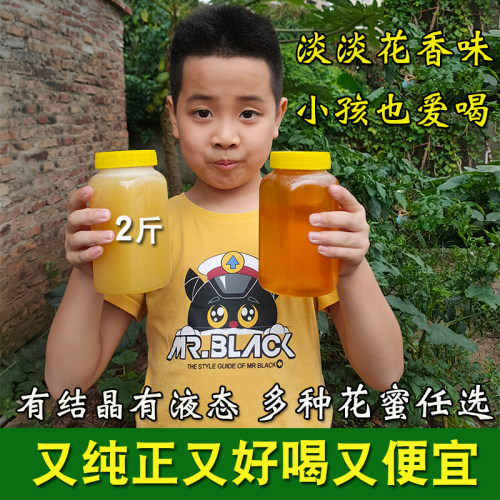 广东从化2斤土蜂蜜多种花蜜可选