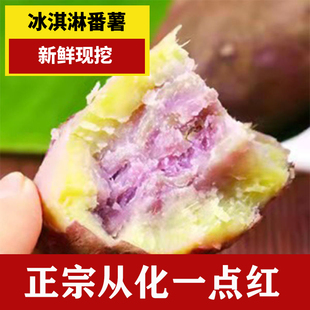 【新鲜现挖】红薯新鲜地瓜从化一点红番薯紫心冰淇淋板栗高山紫薯