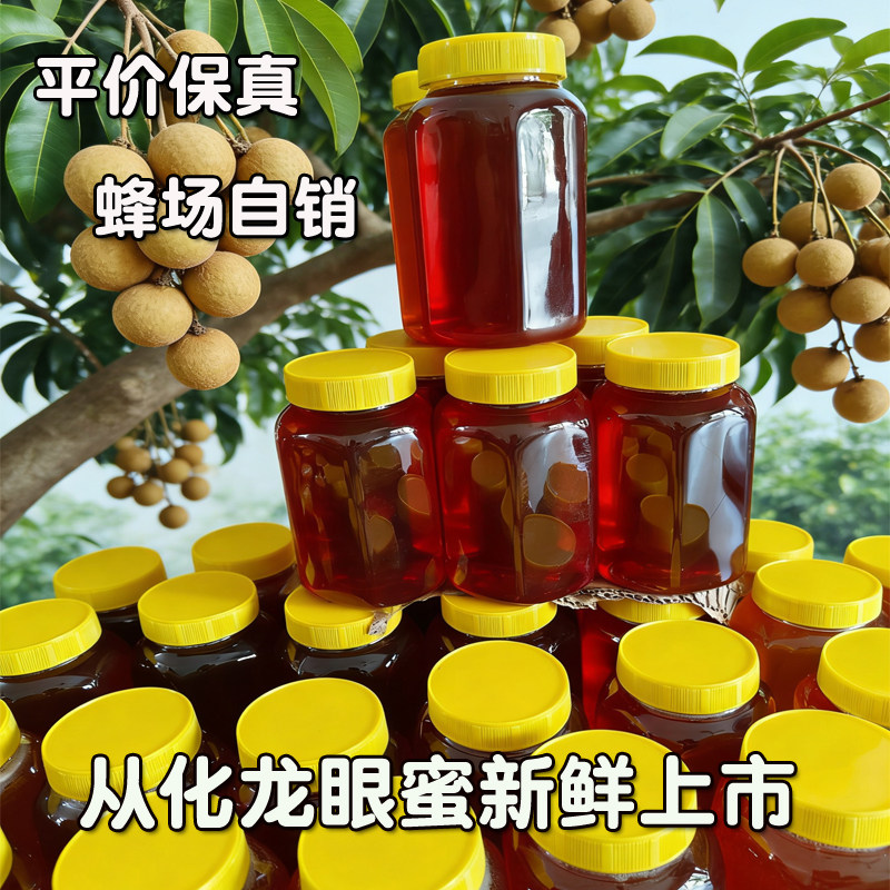 新鲜正宗从化龙眼蜜荔枝蜜纯正天然土蜂蜜无添加春季桂圆蜜糖2斤