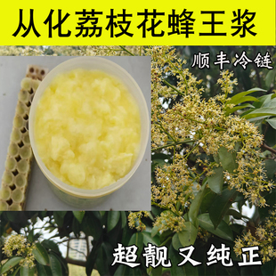 从化荔枝蜂王浆春浆正品正宗纯正天然蜂乳农家自产新鲜蜂皇浆500g