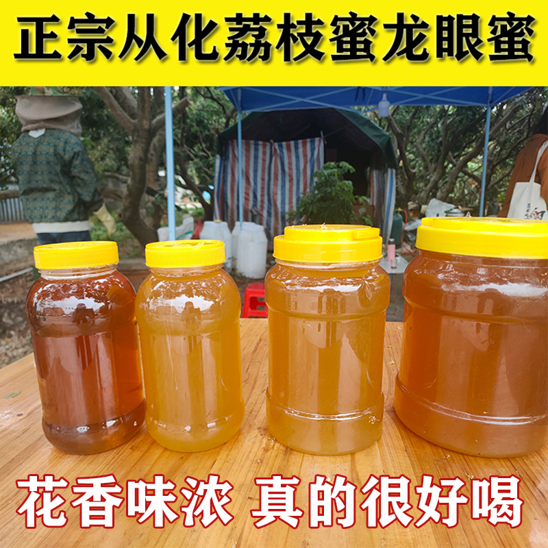 2025年从化荔枝蜜龙眼蜜新鲜纯正天然野生正宗土蜂蜜无添加孕妇密