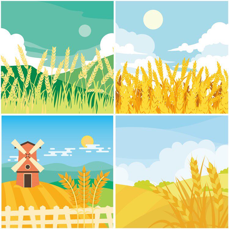 a0518水稻丰收背景秋天秋季稻田小麦卡通农场eps设计素材ai矢量图