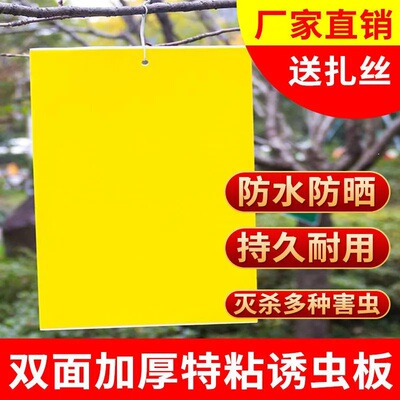 黄板双面粘虫板纸诱虫板