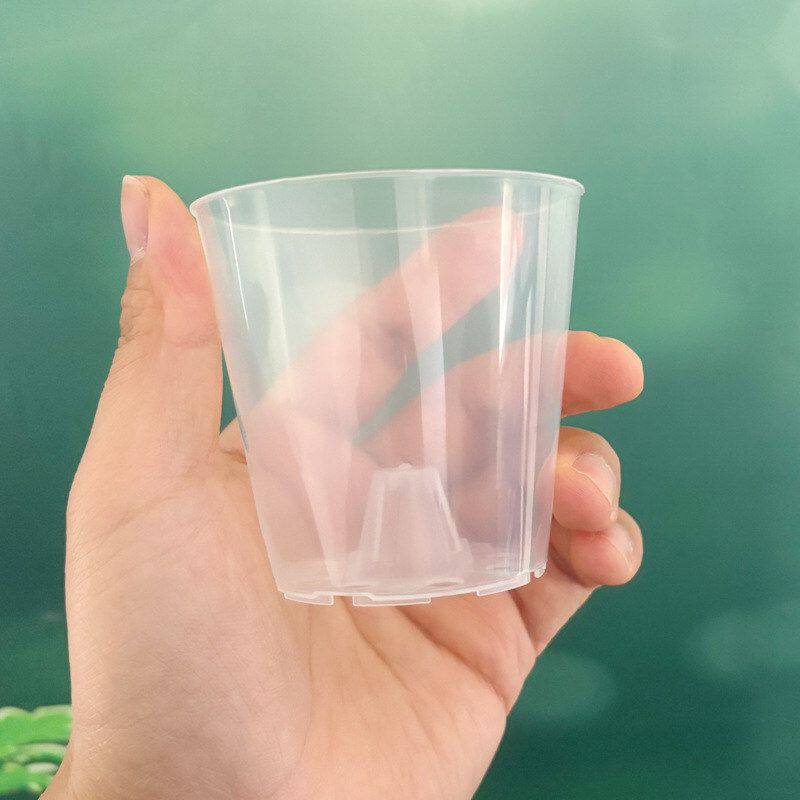 2.5寸小号透明蝴蝶兰花盆新款拇指盆多肉扦插盆塑料空气柱育苗杯