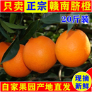 江西正宗赣南脐橙20斤装 赣州寻乌甜橙子新鲜水果现摘特级产地直发