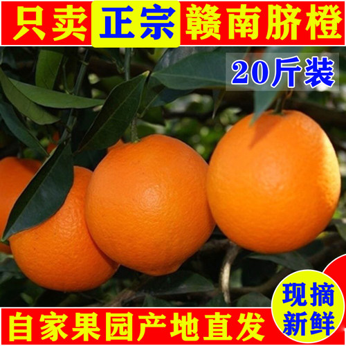 江西寻乌赣南脐橙20斤装带箱