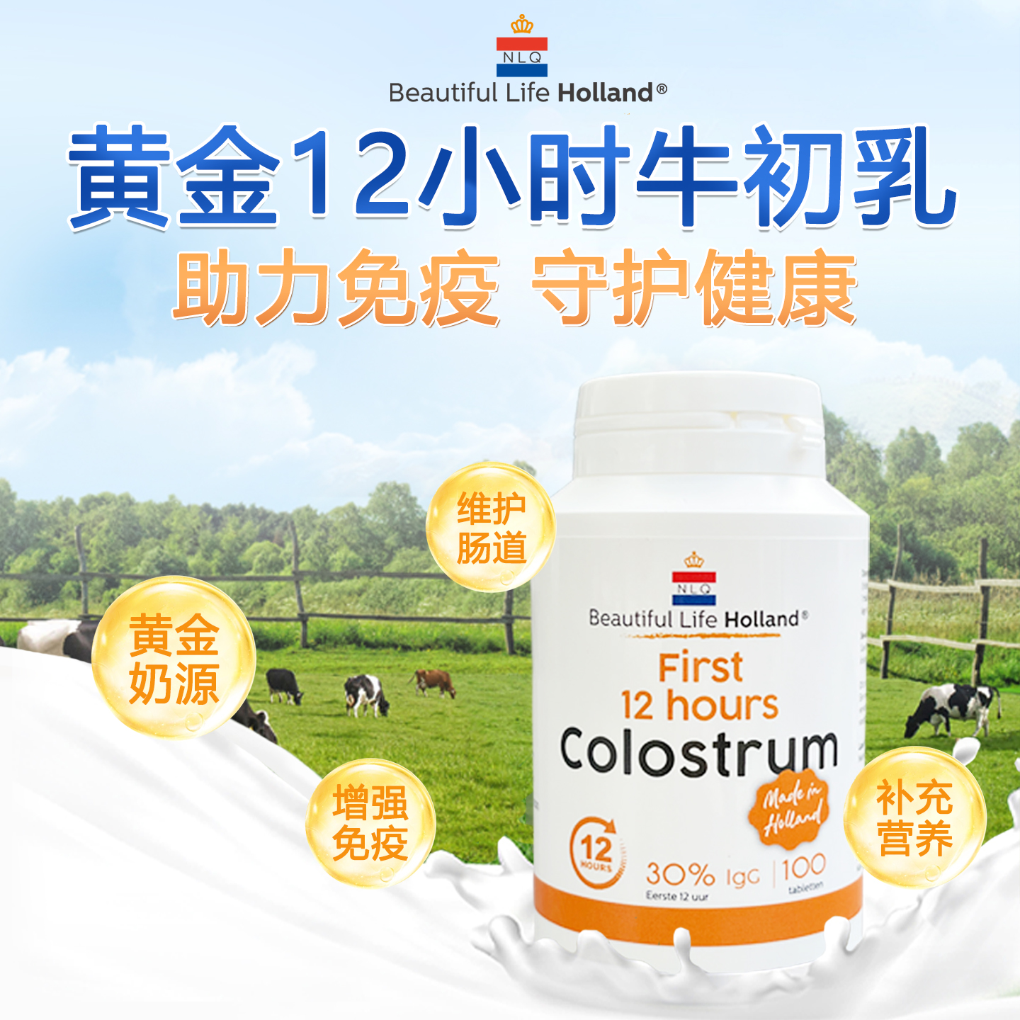 荷兰直邮黄金12小时牛初乳片剂