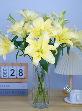 【黄色香水百合】云南基地直发办公室内鲜花直播间现场直播卖花