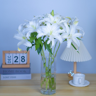 【白色香水百合】云南基地直发鲜切花办公室鲜花直播间现场直播
