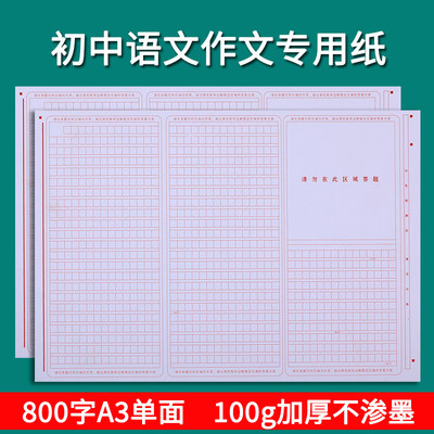 中考语文作文纸考试专用800字