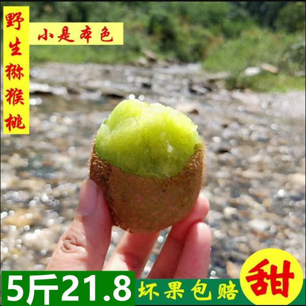 秦岭北麓里大自然的味道