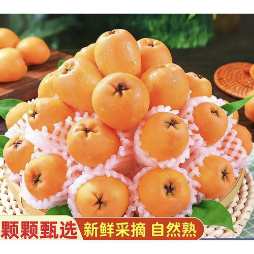 顺丰包邮米易高山枇杷自然熟