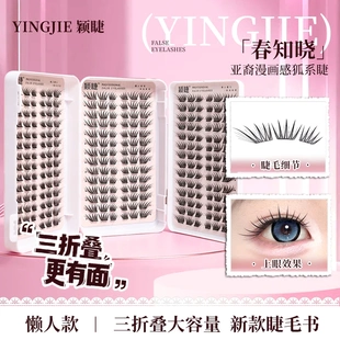 颖睫新款三折叠睫毛书春知晓单簇分段式假眼睫毛贴自然逼真浓密款