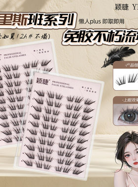 颖睫不朽流年狐系自然仿真单簇睫