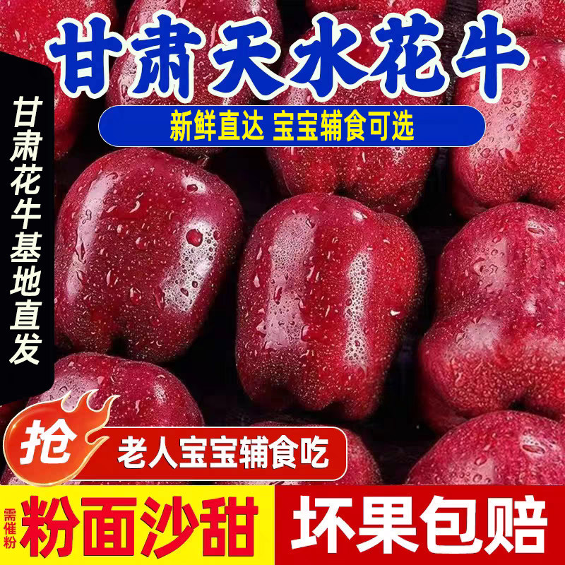 苹果甘肃花牛苹果可粉可脆刮泥
