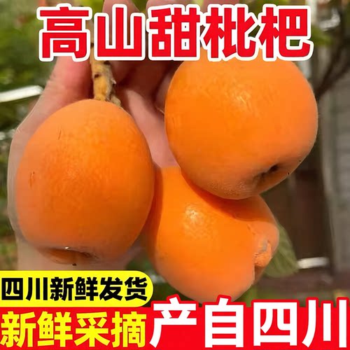 高山五星大枇杷新鲜采摘礼盒包装