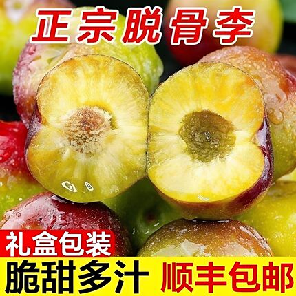 顺丰包邮四川半边红茵红李高山孕妇特大水果脱骨新鲜应季青红李子