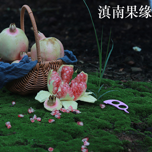 限量限拍  9两以上普通彩箱子 云南蒙自硬籽老品种绿籽水晶石榴