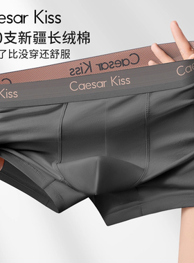 CaesarKiss男士内裤男生纯棉四角平角裤2025新款抗菌大码短裤透气