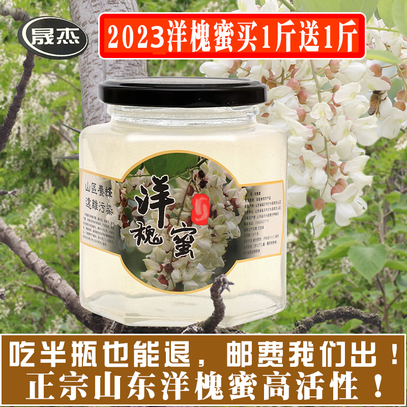 洋槐蜂蜜 2023年新鲜纯正天然高纯度农家自产槐花蜂蜜500g