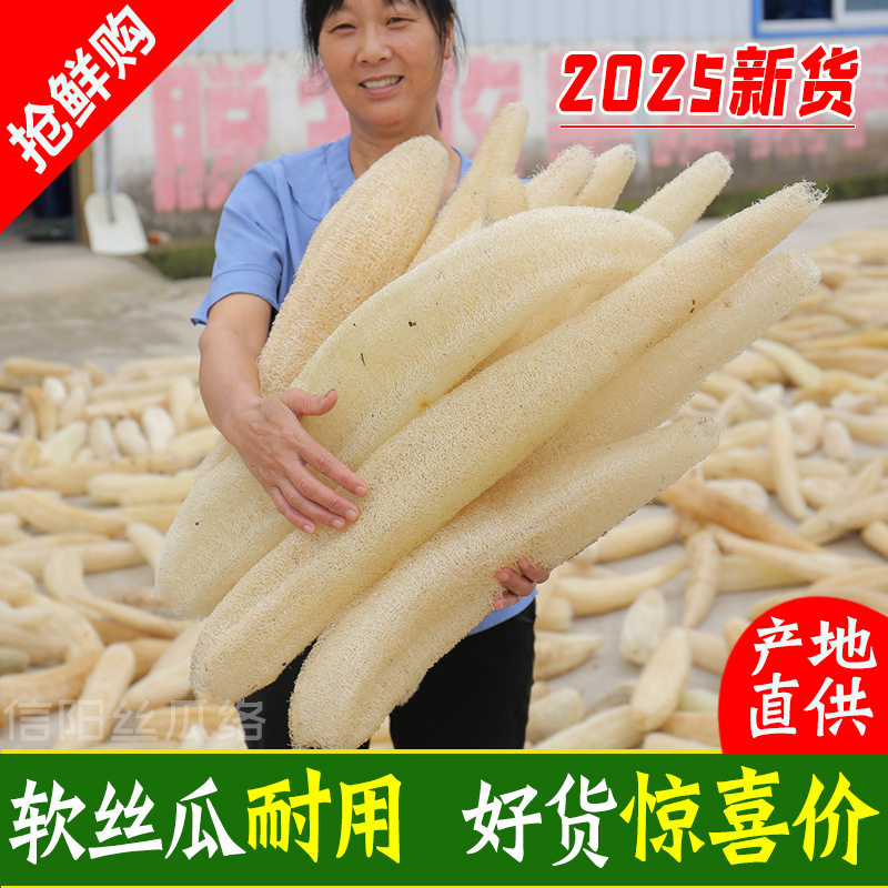 丝瓜络天然丝瓜瓤洗锅洗碗擦整根丝瓜烙抹布日用百货洗澡巾