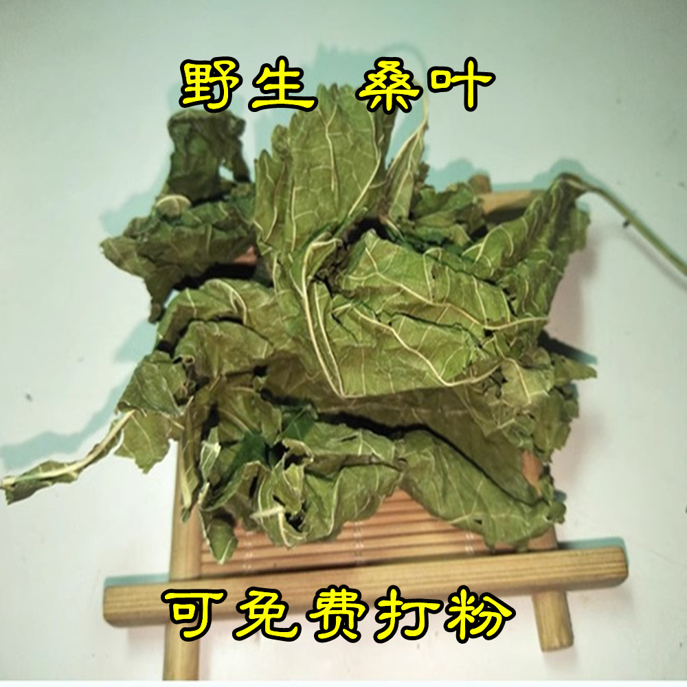 野生干桑叶茶青桑叶 桑葚叶干桑树叶新鲜也有霜桑叶干品500克包邮