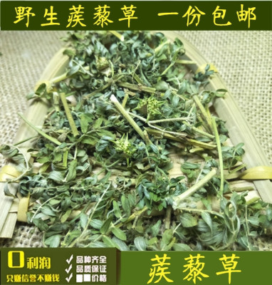 野生蒺藜草药材 刺蒺藜草 蒺藜秧蒺藜子新鲜干品蒺藜全草泡脚包邮