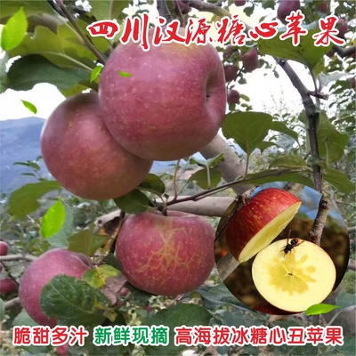 四川汉源糖心红富士红苹果脆甜多汁高山农家丑苹果新鲜孕妇水果