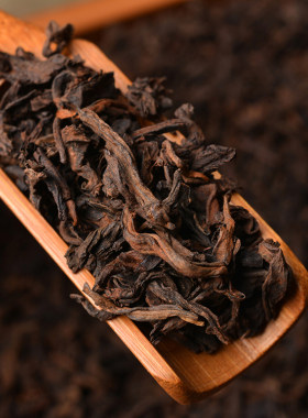 茶泽苑老樟香普洱熟茶陈年大树茶