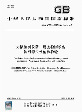 GB/T 45391-2025 无损检测仪器 涡流检测设备 阵列探头性能和检验
