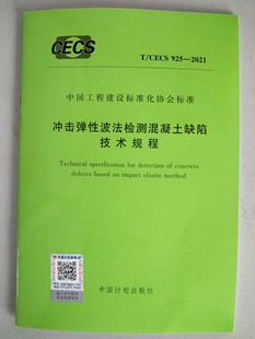T/CECS 925-2021 冲击弹性波法检测混凝土缺陷技术规程