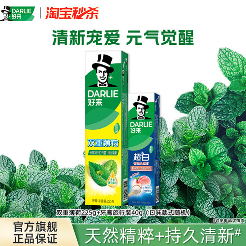 好来双重薄荷牙膏清新口气家庭装