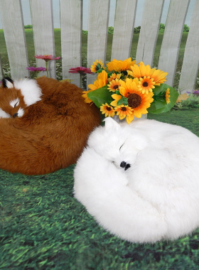 仿真狐狸毛绒玩具偶堂口装饰摆件