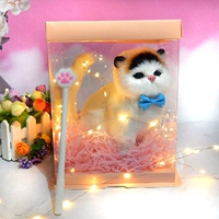 Мао Мао, толстая кошка