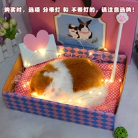 Желто -белая подушка для спящей кошки (Pink Rabbit Gift Box+светлый ремень)