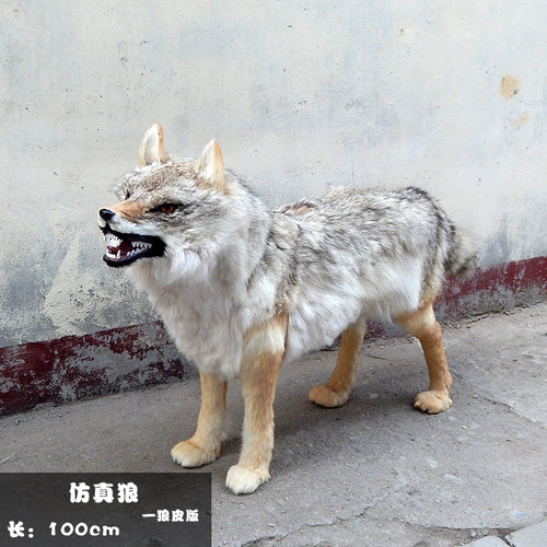 仿真狼模型大型仿真战狼道具摆件皮毛假狼工艺品影视假狼道具摆件 - 封面
