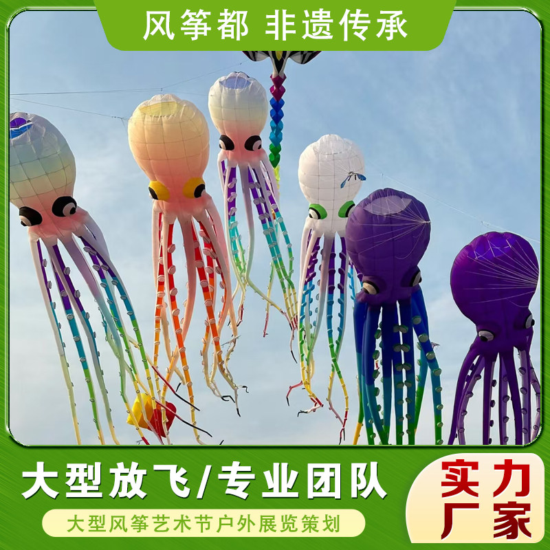 大型软体风筝节策划放飞团队