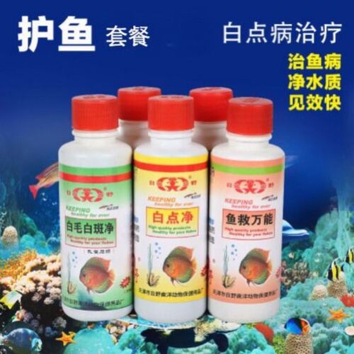 日野观赏鱼鱼药白点净白斑净
