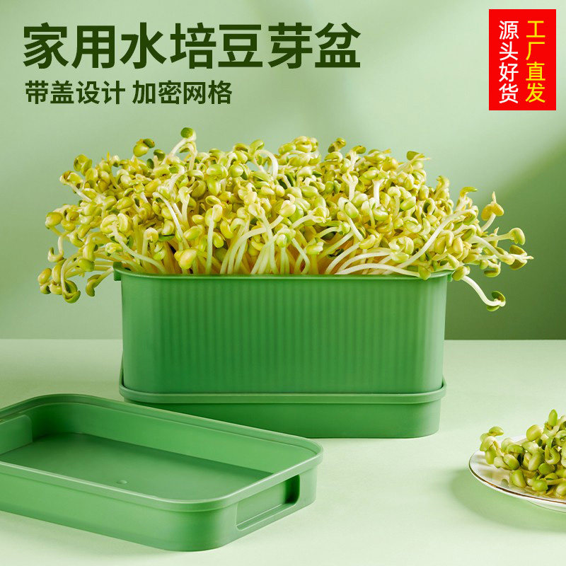豆芽盆芽苗菜育苗盆居家种草兔子水培蔬菜豌豆苗神器种植草猫薄荷