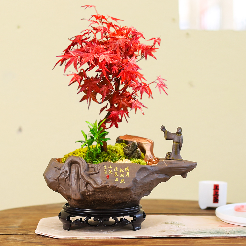 陶瓷盆景盆花盆复古创意新中式透气粗陶造景盆中国风古典微景观大