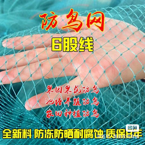 家禽防鸟网全新料聚乙烯渔网养殖