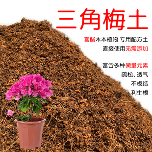 三角梅专用营养土透气家用盆栽种植三角梅土红土酸性土壤花泥肥料