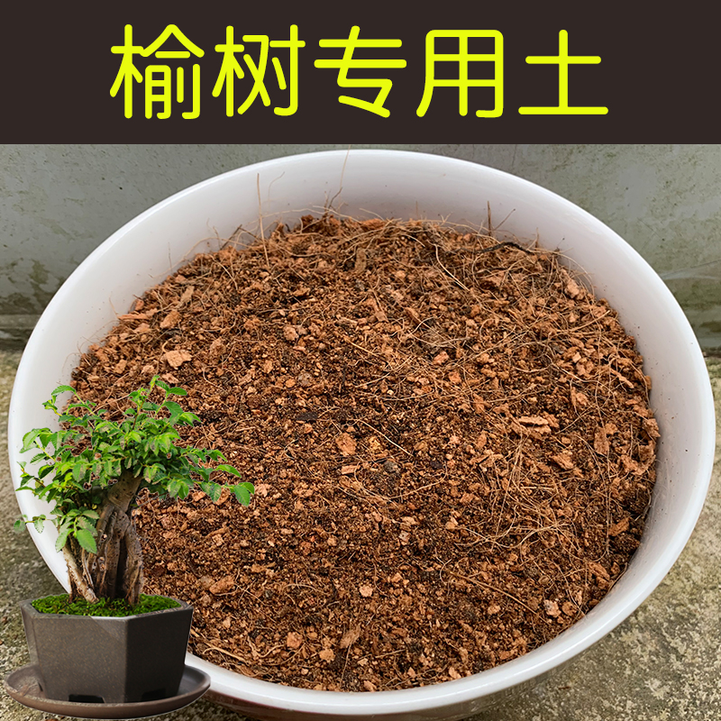 配方营养土透气顺丰包邮榆树土